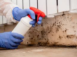 Best Mold Damage Restoration  in Villa Rica, GA